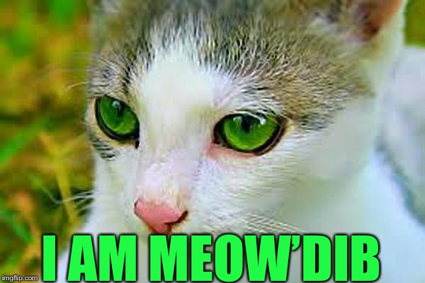 Meow’Dib | I AM MEOW’DIB | image tagged in meowdib 600px,memes | made w/ Imgflip meme maker