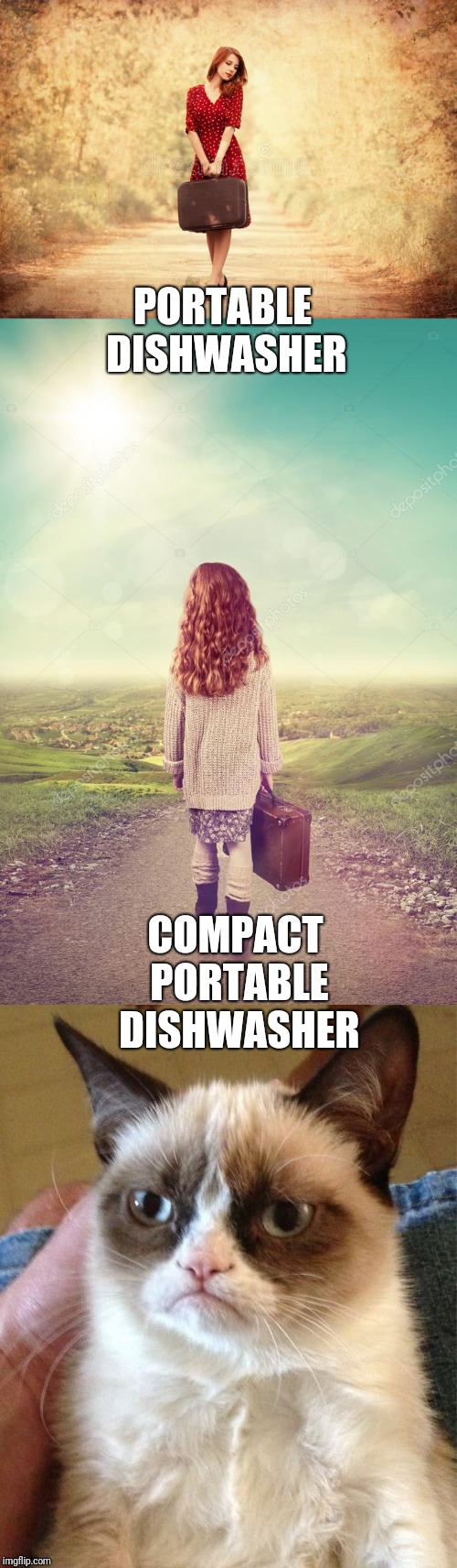 PORTABLE DISHWASHER; COMPACT PORTABLE DISHWASHER | image tagged in grumpy cat | made w/ Imgflip meme maker