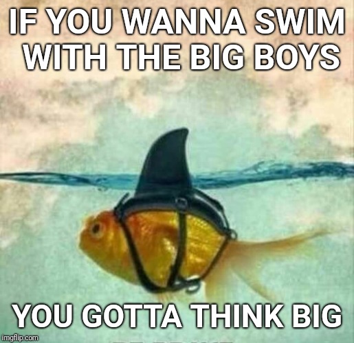 Goldfish Shark | IF YOU WANNA SWIM WITH THE BIG BOYS YOU GOTTA THINK BIG | image tagged in goldfish shark | made w/ Imgflip meme maker