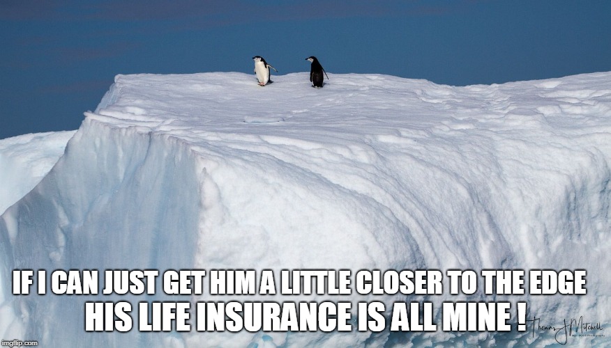 HIS LIFE INSURANCE IS ALL MINE ! IF I CAN JUST GET HIM A LITTLE CLOSER TO THE EDGE | made w/ Imgflip meme maker