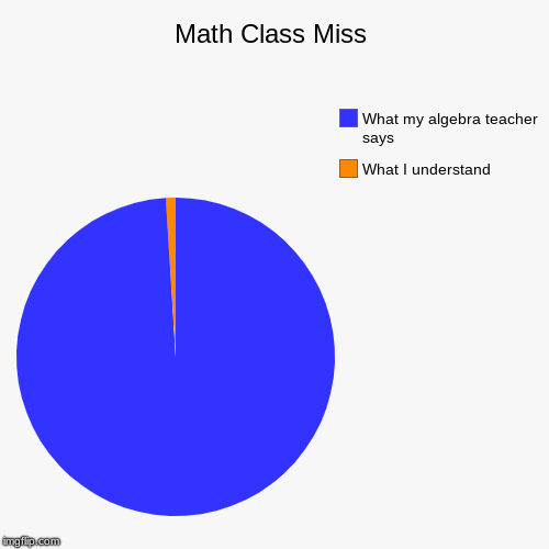 Math Class Miss | What I understand, What my algebra teacher says | image tagged in funny,pie charts | made w/ Imgflip chart maker