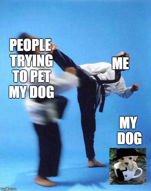 Stay Away Dog Petters!  | PEOPLE TRYING TO PET MY DOG; ME; MY DOG | image tagged in roundhouse kick chuck norris | made w/ Imgflip meme maker