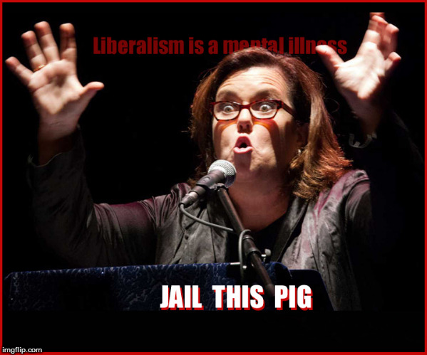 Jail the Pig | image tagged in jail rosie odonnell,current events,rosie o'donnell,politics lol,funny memes,pig people | made w/ Imgflip meme maker