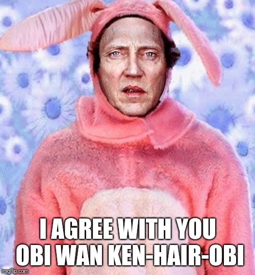 I AGREE WITH YOU OBI WAN KEN-HAIR-OBI | made w/ Imgflip meme maker