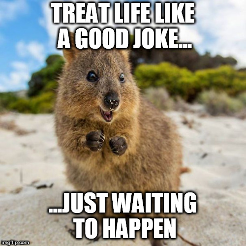 Good joke | TREAT LIFE LIKE A GOOD JOKE... ...JUST WAITING TO HAPPEN | image tagged in joke | made w/ Imgflip meme maker