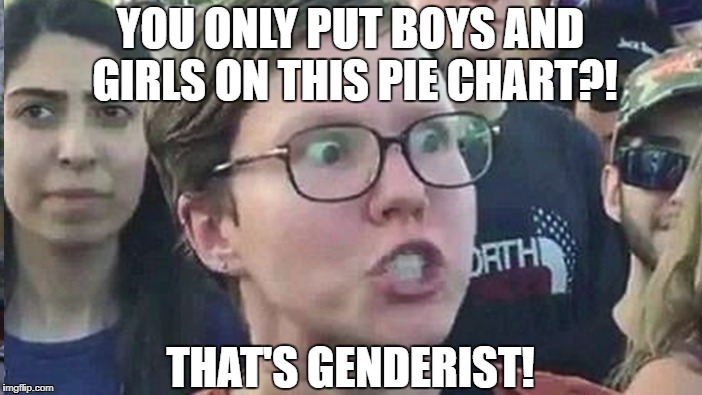 YOU ONLY PUT BOYS AND GIRLS ON THIS PIE CHART?! THAT'S GENDERIST! | made w/ Imgflip meme maker