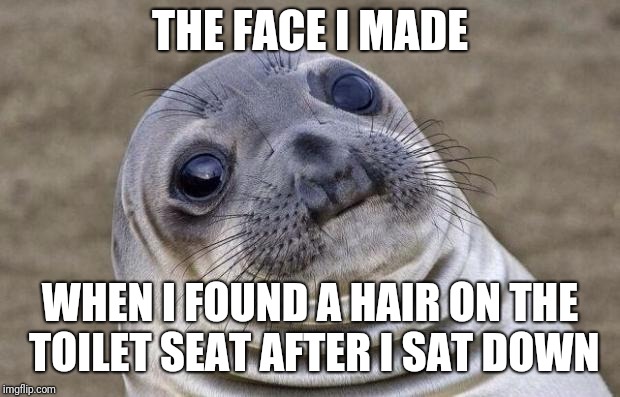 Awkward Moment Sealion Meme | THE FACE I MADE; WHEN I FOUND A HAIR ON THE TOILET SEAT AFTER I SAT DOWN | image tagged in memes,awkward moment sealion | made w/ Imgflip meme maker