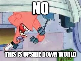 NO THIS IS PATRICK | NO THIS IS UPSIDE DOWN WORLD | image tagged in no this is patrick | made w/ Imgflip meme maker