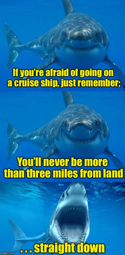 Bad Shark Pun  | If you’re afraid of going on a cruise ship, just remember;; You’ll never be more than three miles from land; . . . straight down | image tagged in bad shark pun | made w/ Imgflip meme maker