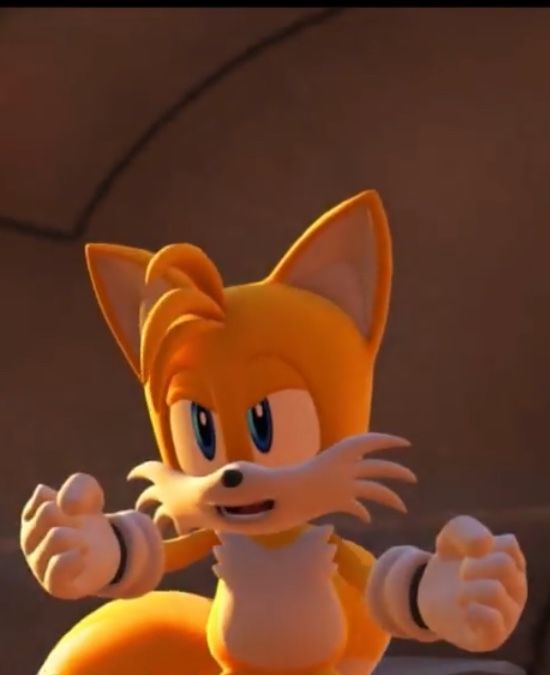 Forces Tails Blank Meme Template