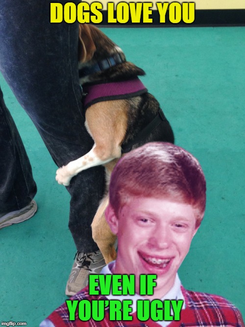 The love of a loyal dog | DOGS LOVE YOU; EVEN IF YOU’RE UGLY | image tagged in bad luck brian,dogs,love,ugly | made w/ Imgflip meme maker