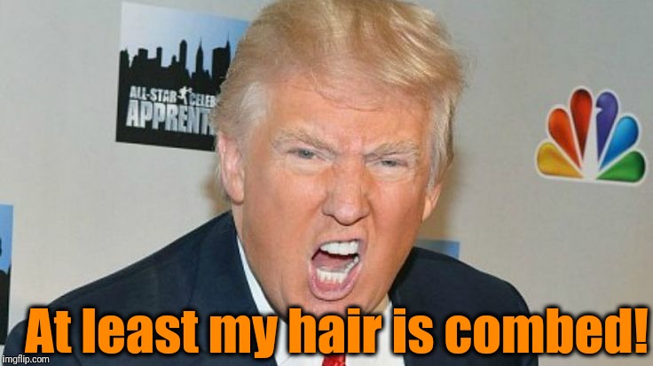 At least my hair is combed! | image tagged in trump mad | made w/ Imgflip meme maker