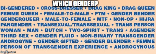 WHICH GENDER? | made w/ Imgflip meme maker