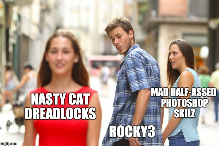 Distracted Boyfriend Meme | NASTY CAT DREADLOCKS ROCKY3 MAD HALF-ASSED PHOTOSHOP SKILZ | image tagged in memes,distracted boyfriend | made w/ Imgflip meme maker