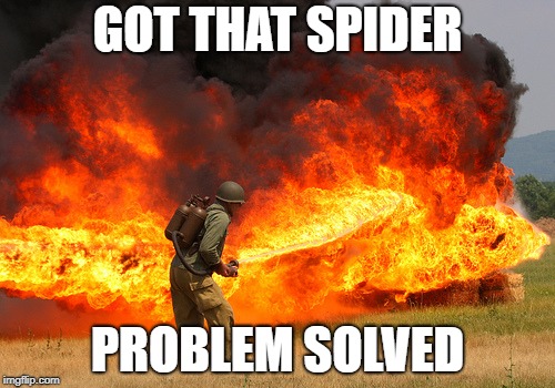 GOT THAT SPIDER; PROBLEM SOLVED | image tagged in flamthrower | made w/ Imgflip meme maker
