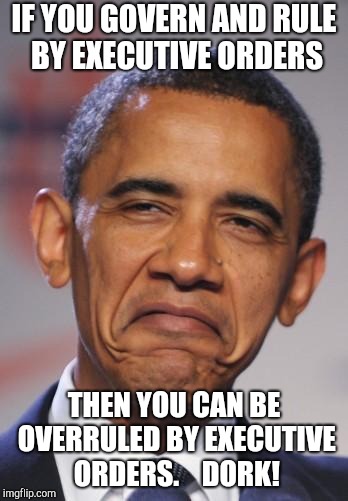 obamas funny face |  IF YOU GOVERN AND RULE BY EXECUTIVE ORDERS; THEN YOU CAN BE OVERRULED BY EXECUTIVE ORDERS.    DORK! | image tagged in obamas funny face | made w/ Imgflip meme maker