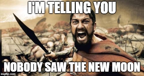 Sparta Leonidas Meme |  I'M TELLING YOU; NOBODY SAW THE NEW MOON | image tagged in memes,sparta leonidas | made w/ Imgflip meme maker
