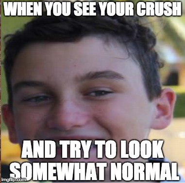 WHEN YOU SEE YOUR CRUSH; AND TRY TO LOOK SOMEWHAT NORMAL | image tagged in funny | made w/ Imgflip meme maker