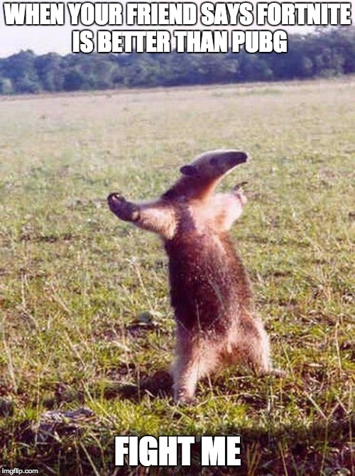 Fight me anteater | WHEN YOUR FRIEND SAYS FORTNITE IS BETTER THAN PUBG; FIGHT ME | image tagged in fight me anteater | made w/ Imgflip meme maker