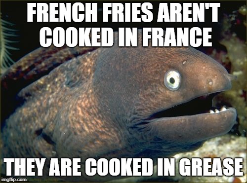 Bad Joke Eel Meme | FRENCH FRIES AREN'T COOKED IN FRANCE; THEY ARE COOKED IN GREASE | image tagged in memes,bad joke eel | made w/ Imgflip meme maker