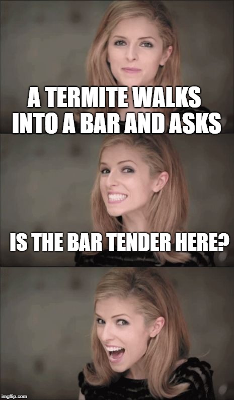 Bad Pun Anna Kendrick Meme | A TERMITE WALKS INTO A BAR AND ASKS; IS THE BAR TENDER HERE? | image tagged in memes,bad pun anna kendrick | made w/ Imgflip meme maker
