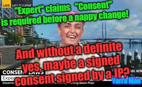 "Expert" claims   "Consent" is required before a nappy change! And without a definite yes, maybe a signed consent signed by a JP? Yarra Man | image tagged in nappy whisperer | made w/ Imgflip meme maker