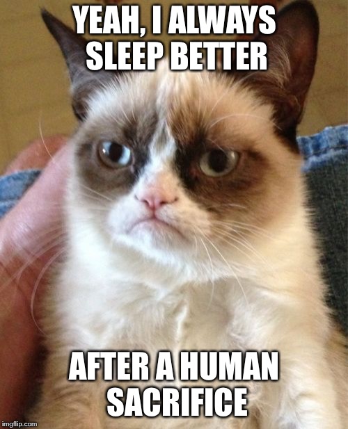 Grumpy Cat Meme | YEAH, I ALWAYS SLEEP BETTER AFTER A HUMAN SACRIFICE | image tagged in memes,grumpy cat | made w/ Imgflip meme maker