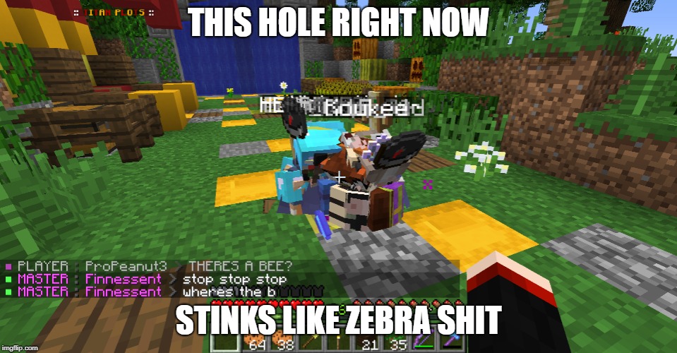 THIS HOLE RIGHT NOW; STINKS LIKE ZEBRA SHIT | made w/ Imgflip meme maker