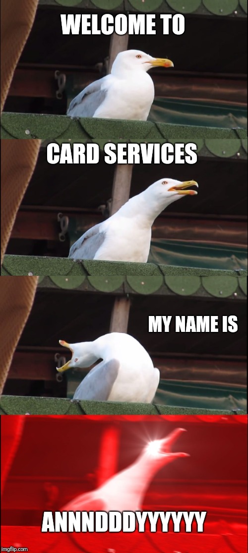 Inhaling Seagull Meme | WELCOME TO; CARD SERVICES; MY NAME IS; ANNNDDDYYYYYY | image tagged in memes,inhaling seagull | made w/ Imgflip meme maker