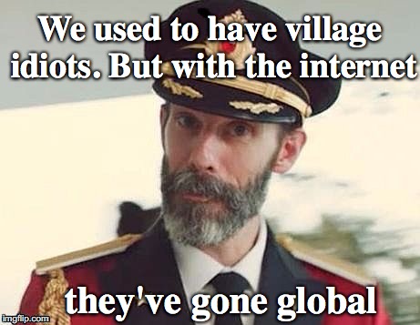 Captain Obvious | We used to have village idiots. But with the internet; they've gone global | image tagged in captain obvious,internet | made w/ Imgflip meme maker
