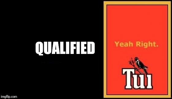 Tui | QUALIFIED | image tagged in tui | made w/ Imgflip meme maker