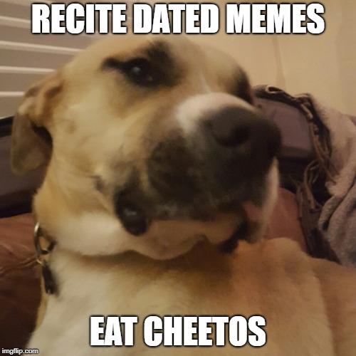 RECITE DATED MEMES; EAT CHEETOS | image tagged in dated meme | made w/ Imgflip meme maker