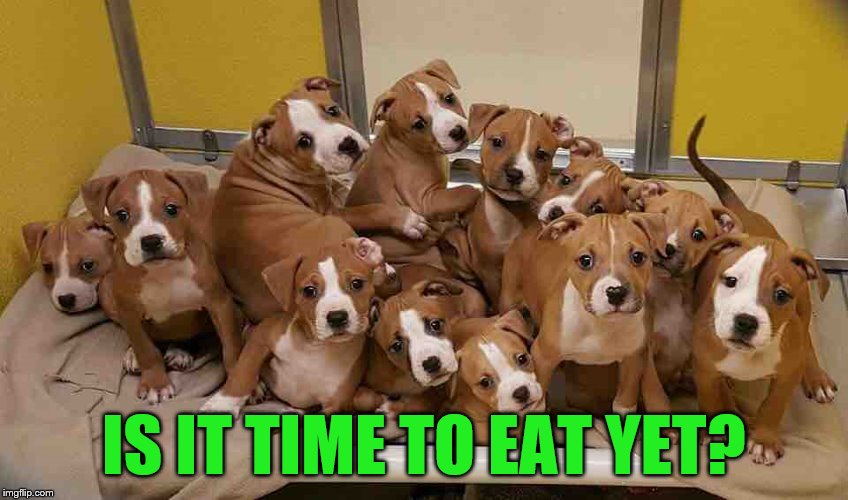 IS IT TIME TO EAT YET? | made w/ Imgflip meme maker
