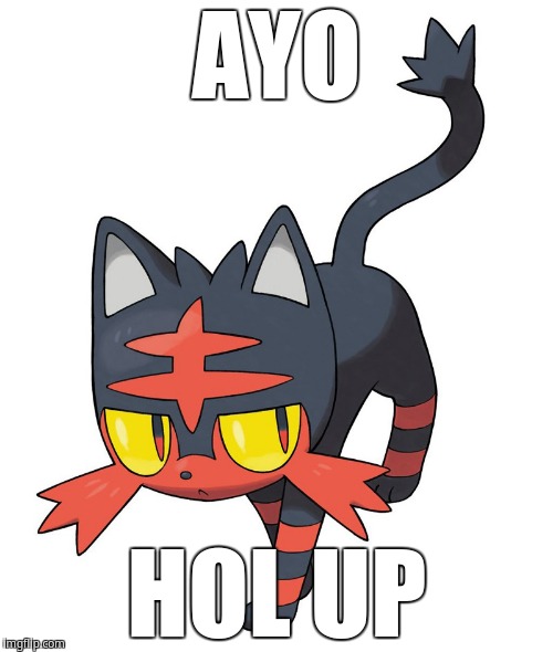 Ayo! Hol up! | AYO; HOL UP | image tagged in litten | made w/ Imgflip meme maker