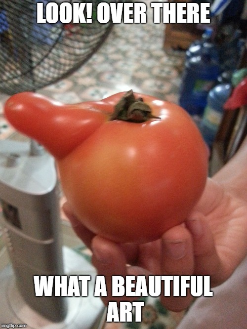 Hailing tomato | LOOK! OVER THERE WHAT A BEAUTIFUL ART | image tagged in hailing tomato | made w/ Imgflip meme maker