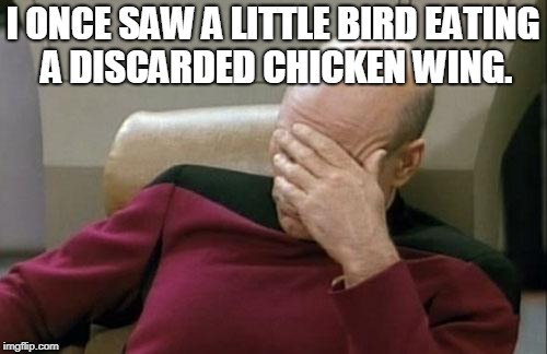 Captain Picard Facepalm Meme | I ONCE SAW A LITTLE BIRD EATING A DISCARDED CHICKEN WING. | image tagged in memes,captain picard facepalm | made w/ Imgflip meme maker