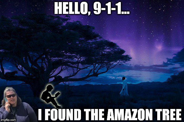 HELLO, 9-1-1... I FOUND THE AMAZON TREE | image tagged in bbq cellphone lady,911,wakanda,amazon tree | made w/ Imgflip meme maker