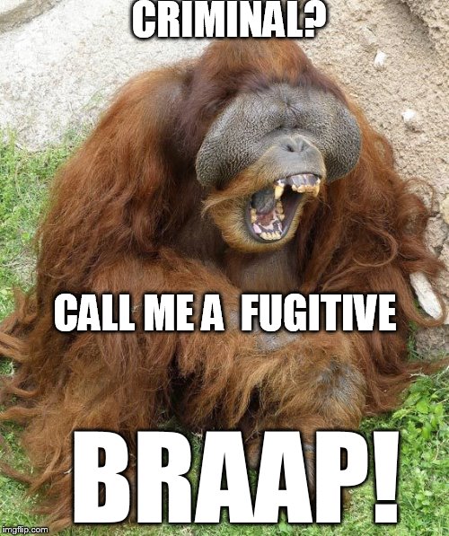 what's my crime  ?  | CRIMINAL? CALL ME A  FUGITIVE; BRAAP! | image tagged in braap,criminal | made w/ Imgflip meme maker