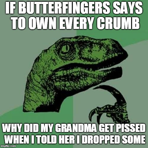 Philosoraptor Meme | IF BUTTERFINGERS SAYS TO OWN EVERY CRUMB; WHY DID MY GRANDMA GET PISSED WHEN I TOLD HER I DROPPED SOME | image tagged in memes,philosoraptor | made w/ Imgflip meme maker