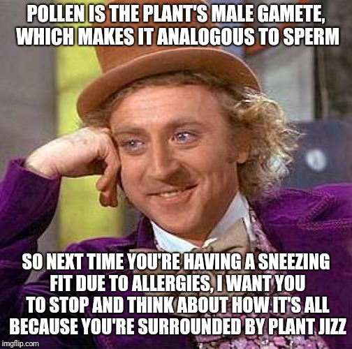 Plant cum, plant cum everywhere | POLLEN IS THE PLANT'S MALE GAMETE, WHICH MAKES IT ANALOGOUS TO SPERM; SO NEXT TIME YOU'RE HAVING A SNEEZING FIT DUE TO ALLERGIES, I WANT YOU TO STOP AND THINK ABOUT HOW IT'S ALL BECAUSE YOU'RE SURROUNDED BY PLANT JIZZ | image tagged in memes,creepy condescending wonka | made w/ Imgflip meme maker