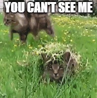 YOU CAN'T SEE ME | made w/ Imgflip meme maker