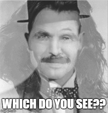 Yanni or Laurel? | WHICH DO YOU SEE?? | image tagged in audio,laurel,yanny,yanni,meme | made w/ Imgflip meme maker
