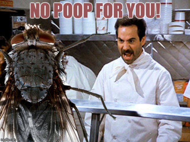 NO POOP FOR YOU! | made w/ Imgflip meme maker
