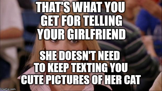 Its Not Going To Happen Meme | THAT'S WHAT YOU GET FOR TELLING YOUR GIRLFRIEND; SHE DOESN'T NEED TO KEEP TEXTING YOU CUTE PICTURES OF HER CAT | image tagged in memes,its not going to happen | made w/ Imgflip meme maker