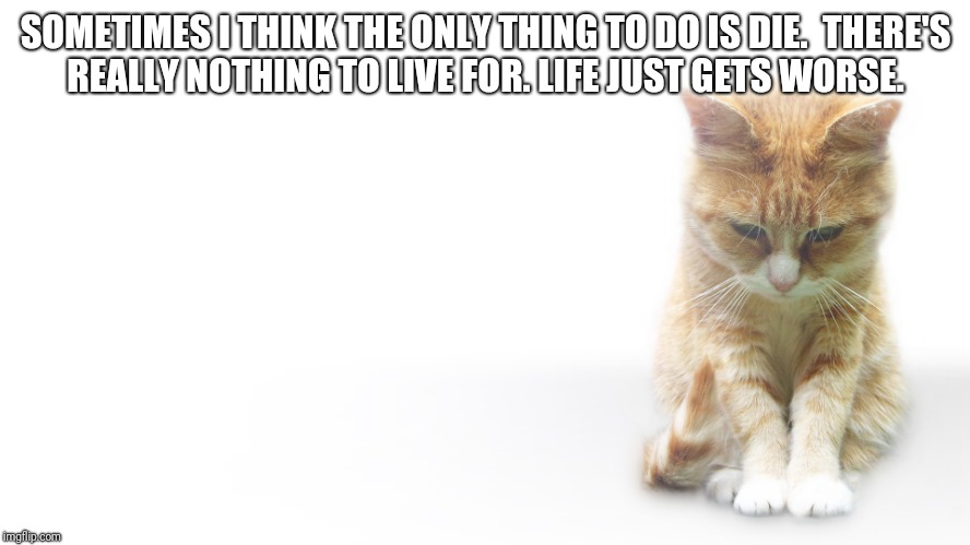 lonely sad cat | SOMETIMES I THINK THE ONLY THING TO DO IS DIE.  THERE'S REALLY NOTHING TO LIVE FOR. LIFE JUST GETS WORSE. | image tagged in lonely sad cat | made w/ Imgflip meme maker
