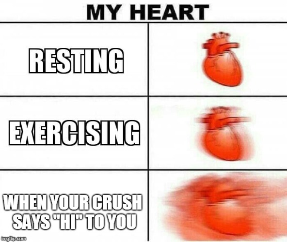 we all know that feeling | WHEN YOUR CRUSH SAYS "HI" TO YOU | image tagged in my heart | made w/ Imgflip meme maker