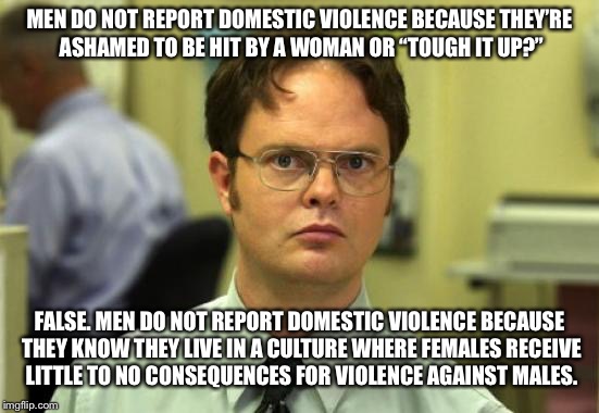 Dwight Schrute | MEN DO NOT REPORT DOMESTIC VIOLENCE BECAUSE THEY’RE ASHAMED TO BE HIT BY A WOMAN OR “TOUGH IT UP?”; FALSE. MEN DO NOT REPORT DOMESTIC VIOLENCE BECAUSE THEY KNOW THEY LIVE IN A CULTURE WHERE FEMALES RECEIVE LITTLE TO NO CONSEQUENCES FOR VIOLENCE AGAINST MALES. | image tagged in memes,dwight schrute | made w/ Imgflip meme maker