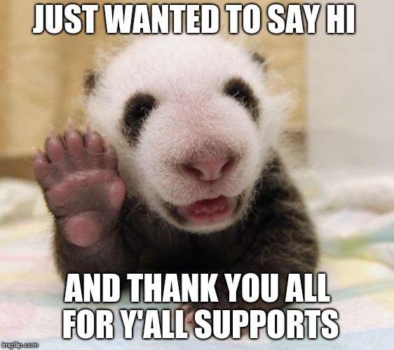 baby panda waving | JUST WANTED TO SAY HI; AND THANK YOU ALL FOR Y'ALL SUPPORTS | image tagged in baby panda waving | made w/ Imgflip meme maker