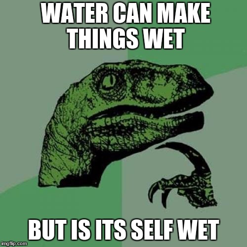 Philosoraptor | WATER CAN MAKE THINGS WET; BUT IS ITS SELF WET | image tagged in memes,philosoraptor | made w/ Imgflip meme maker