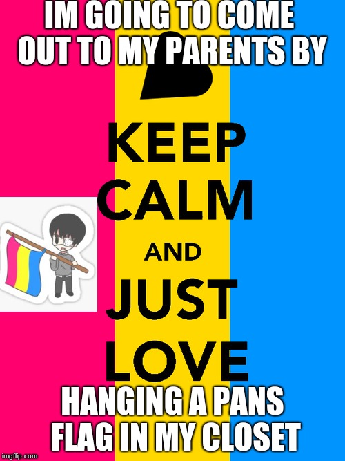 coming out!!! | IM GOING TO COME OUT TO MY PARENTS BY; HANGING A PANS FLAG IN MY CLOSET | image tagged in help me,pride | made w/ Imgflip meme maker